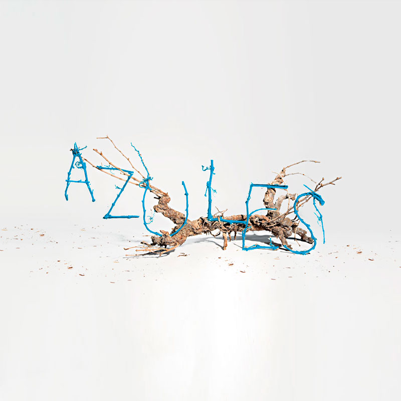 branding proyecto AZULES 1