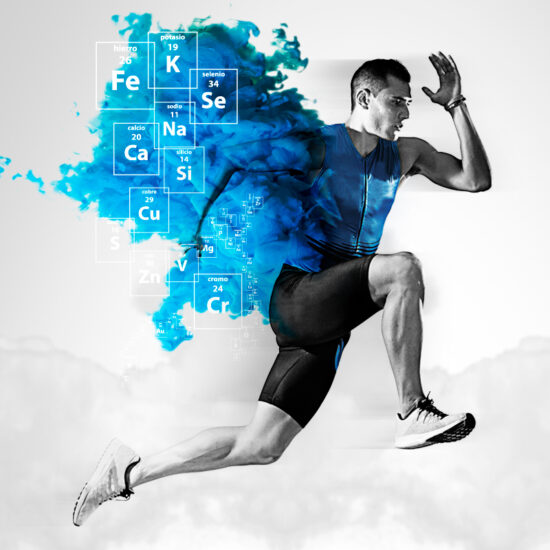 PACKAGING EXPOSITOR TOLUM 6