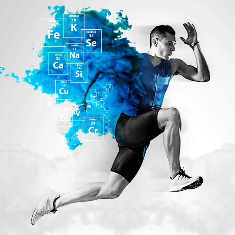 PACKAGING EXPOSITOR TOLUM 6