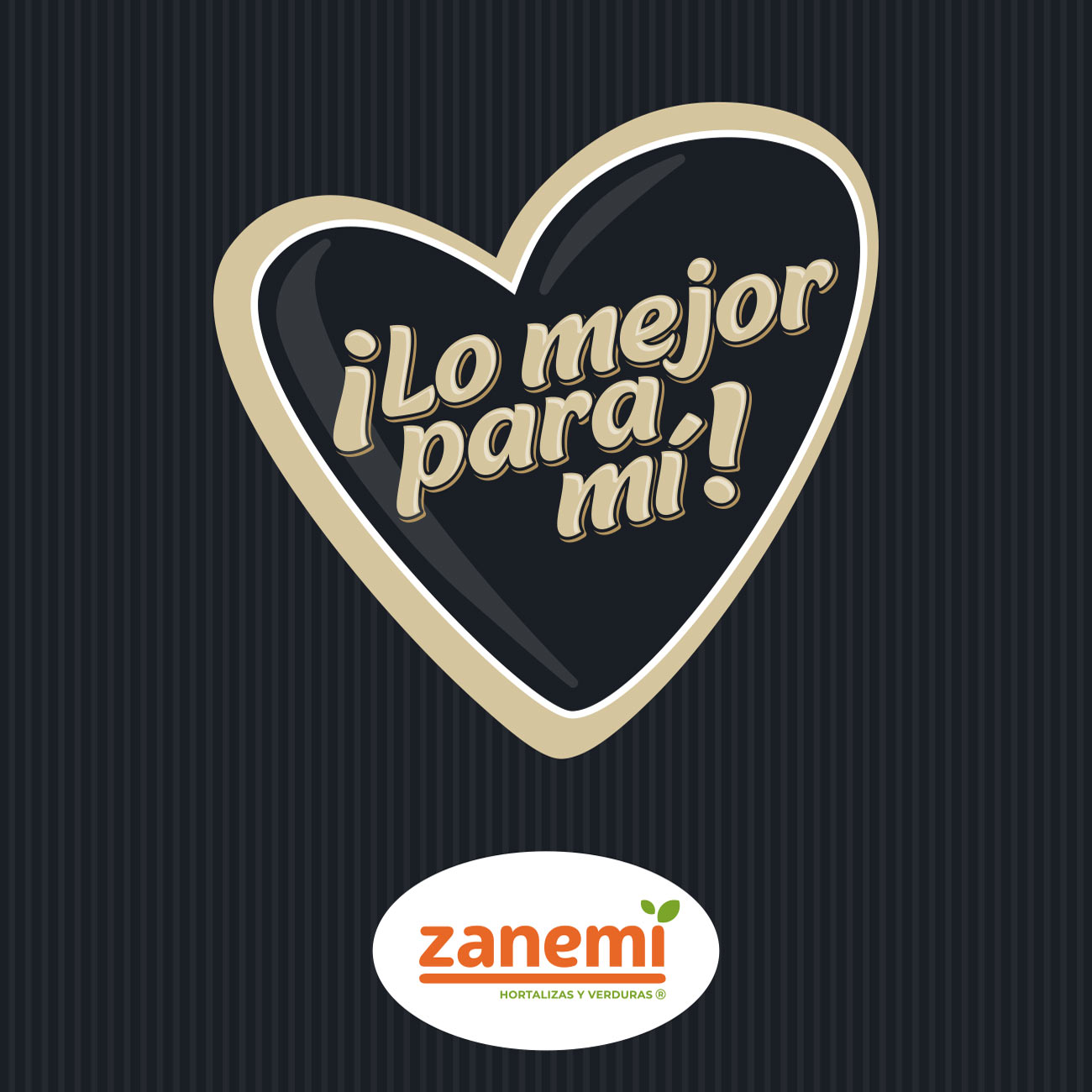 programación web ZANEMI 1