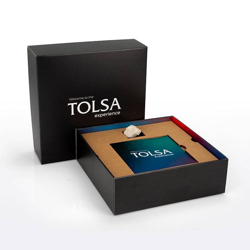 portada welcome pack tolsa