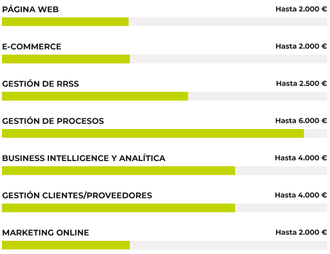 Subvenciones máximas para proyectos online de empresas kit digital