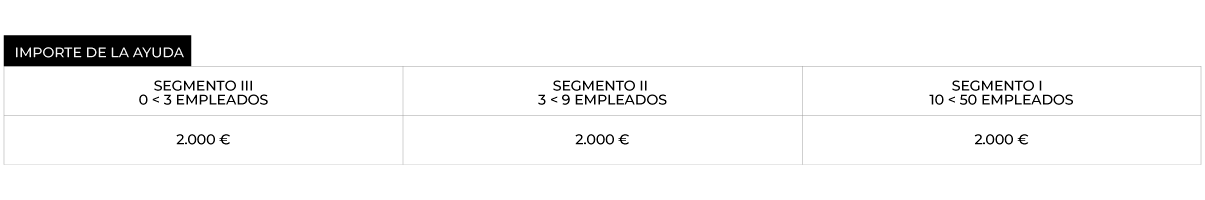 kitdigital cuadro ayudas01 1