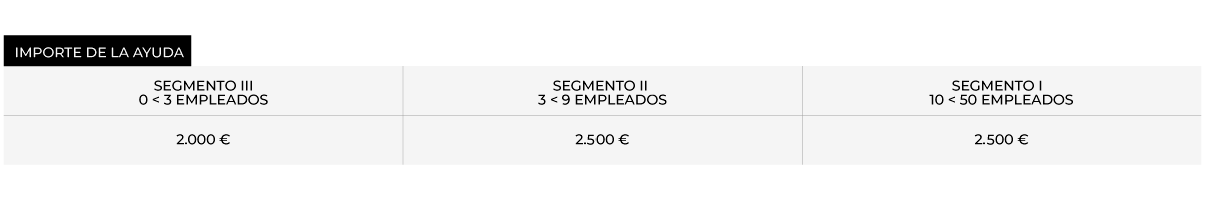 kitdigital cuadro ayudas02 2