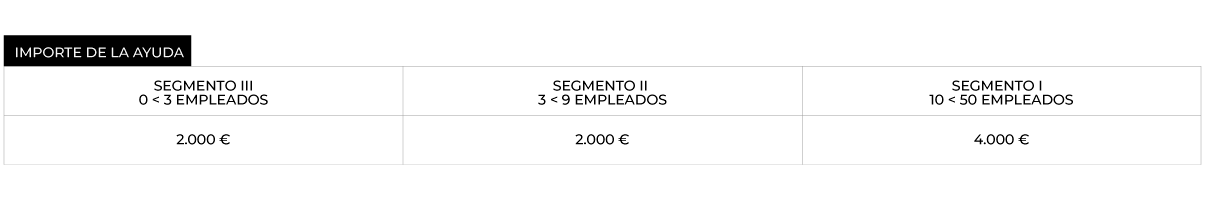 kitdigital cuadro ayudas03 1