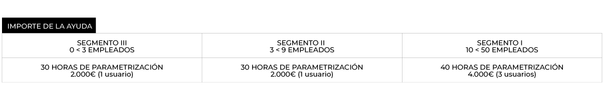 kitdigital cuadro ayudas06