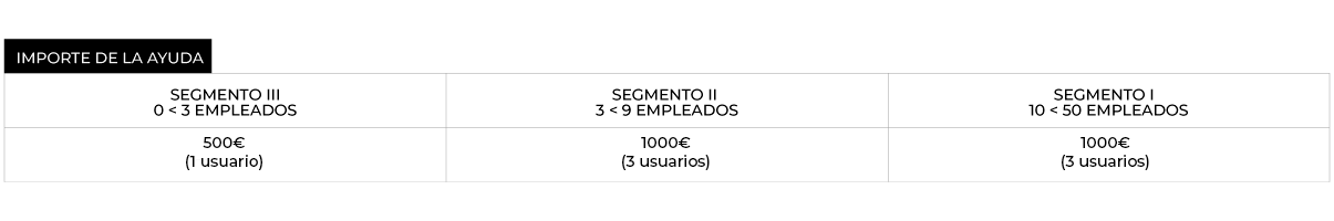 kitdigital cuadro ayudas08