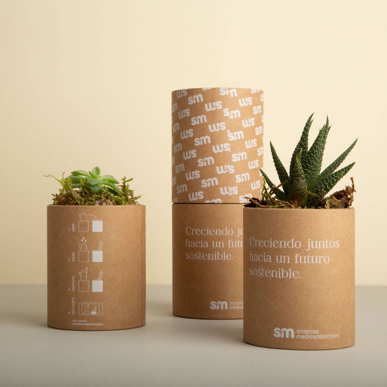 Portada wp sistema medioambietal